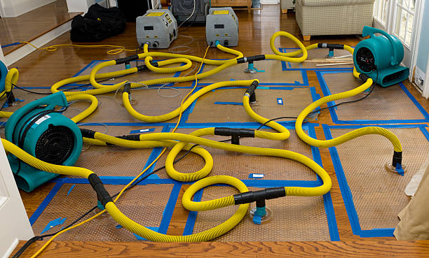 Professional Flood Damage Restoration technician working in Cardington, OH
